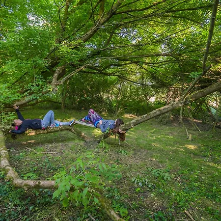 Szellos Ret Camping * Balvanyos