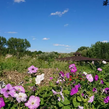 Szellos Ret Camping Campsite