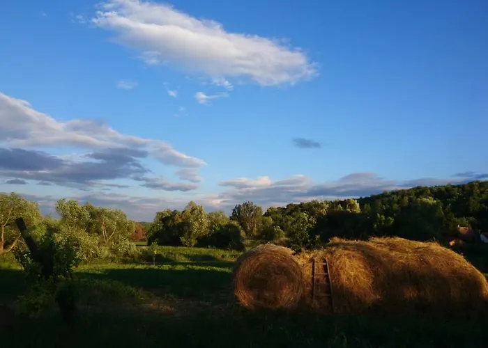 Szellos Ret *